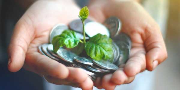 Budget-Friendly Kitchen Makeover Ideas That Look Expensive