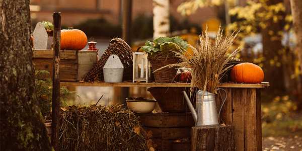 Creative Thanksgiving Decor Ideas to Impress Your Guests