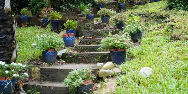 Low-Maintenance Garden Ideas For Busy Homeowners