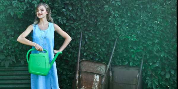 Chaos Gardening – The Laid Back Approach To Gardening