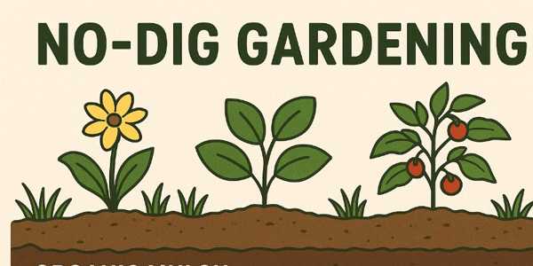 No-Dig Gardening: A Lazy Gardener’s Secret