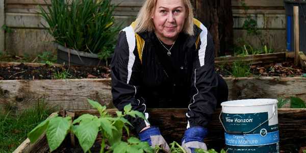 DIY Garden Bed Ideas On A Budget: Creative & Affordable Options